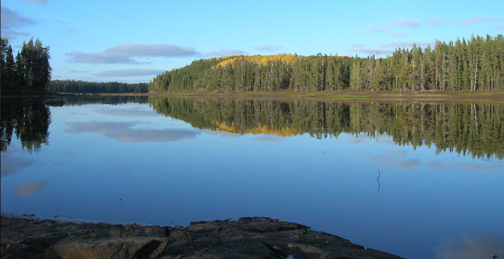 boreal forest shoreline structure
